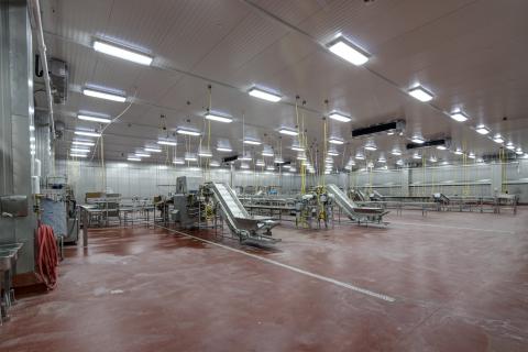 MCS Holly Poultry Interior (10)
