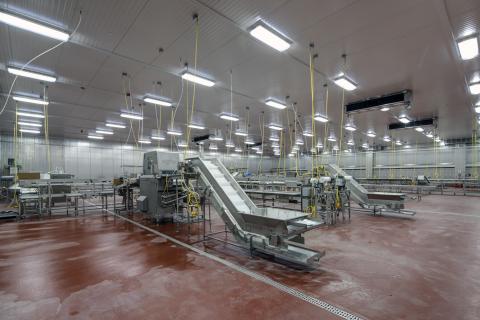 MCS Holly Poultry Interior (11)