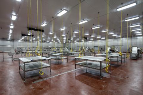 MCS Holly Poultry Interior (14)