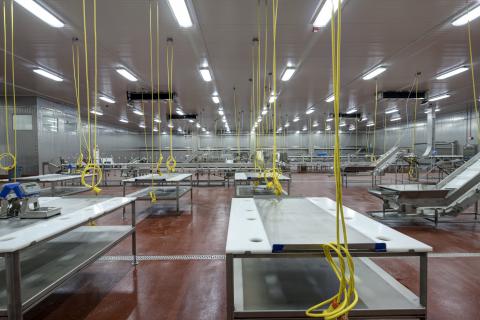 MCS Holly Poultry Interior (15)