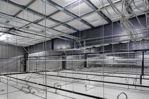 MCS Holly Poultry Interior (28)