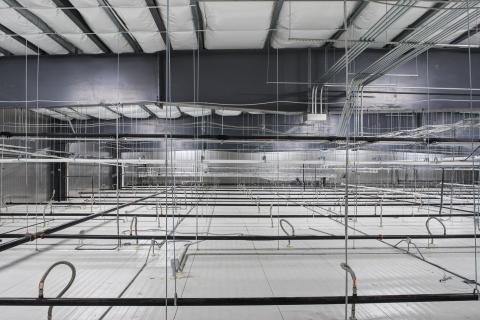 MCS Holly Poultry Interior (29)