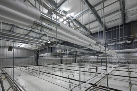 MCS Holly Poultry Interior (31)