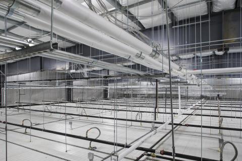 MCS Holly Poultry Interior (30)
