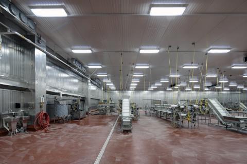 MCS Holly Poultry Interior (9)
