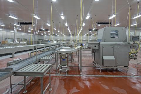 MCS Holly Poultry Interior (12)