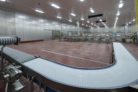 MCS Holly Poultry Interior (13)