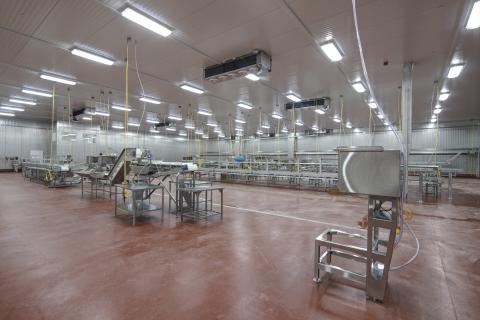 MCS Holly Poultry Interior (16)