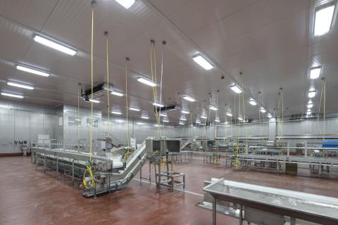 MCS Holly Poultry Interior (17)