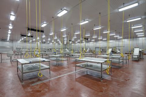 MCS Holly Poultry Interior (23)