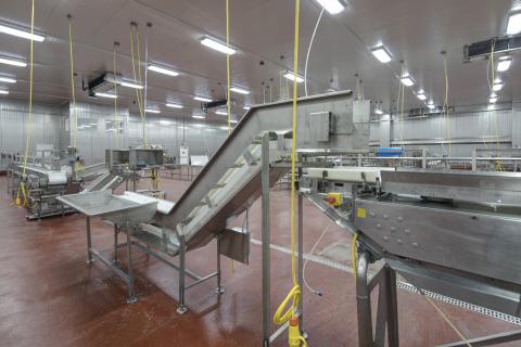 MCS Holly Poultry Interior (18)