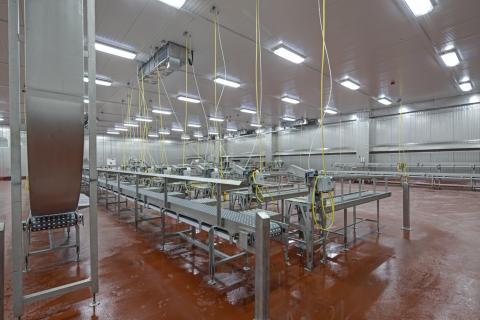 MCS Holly Poultry Interior (19)