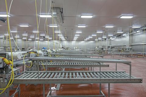 MCS Holly Poultry Interior (20)