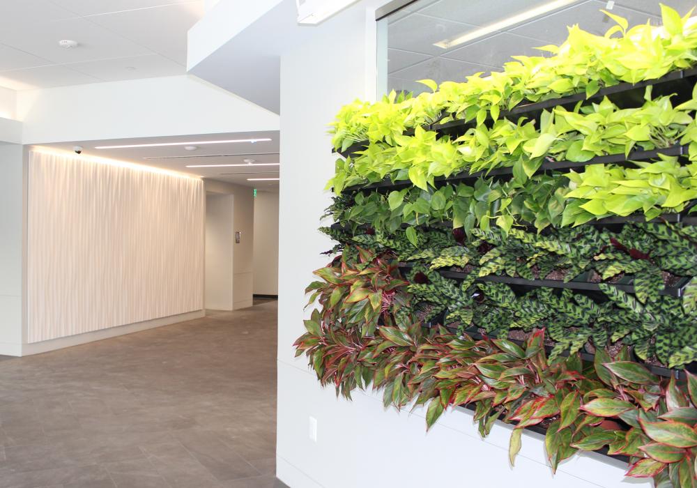 Owings Mills Lobby