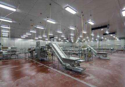 MCS Holly Poultry Interior (11)