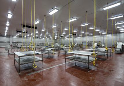 MCS Holly Poultry Interior (14)