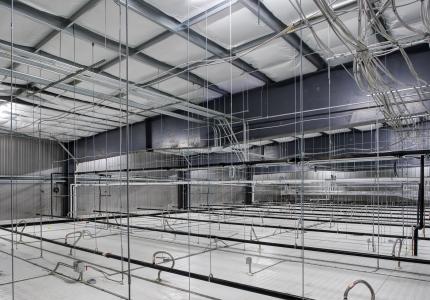 MCS Holly Poultry Interior (28)