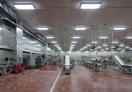 MCS Holly Poultry Interior (9)