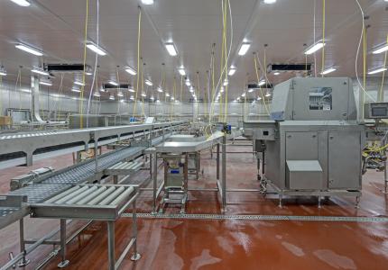 MCS Holly Poultry Interior (12)