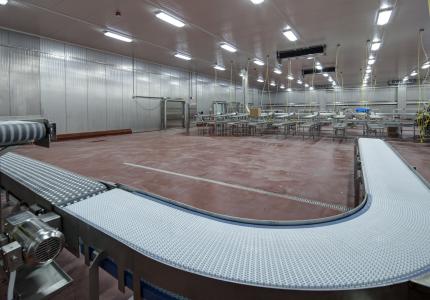 MCS Holly Poultry Interior (13)