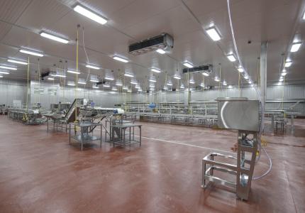 MCS Holly Poultry Interior (16)