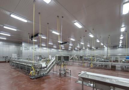 MCS Holly Poultry Interior (17)