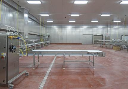 MCS Holly Poultry Interior (21)