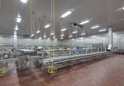 MCS Holly Poultry Interior (22)