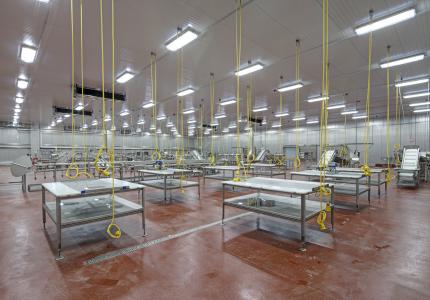 MCS Holly Poultry Interior (23)