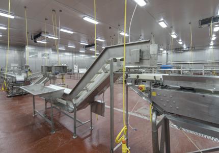 MCS Holly Poultry Interior (18)