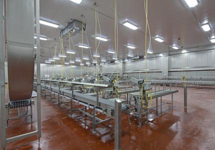 MCS Holly Poultry Interior (19)