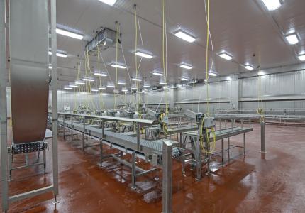 MCS Holly Poultry Interior (19)