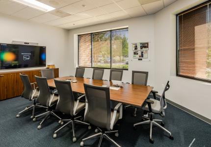 LS4 One Diversified Conference Room (5)