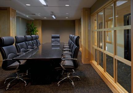 HA1 Oledix Conference Room (1)